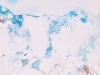 NextGen ScrollGallery thumbnail