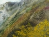NextGen ScrollGallery thumbnail